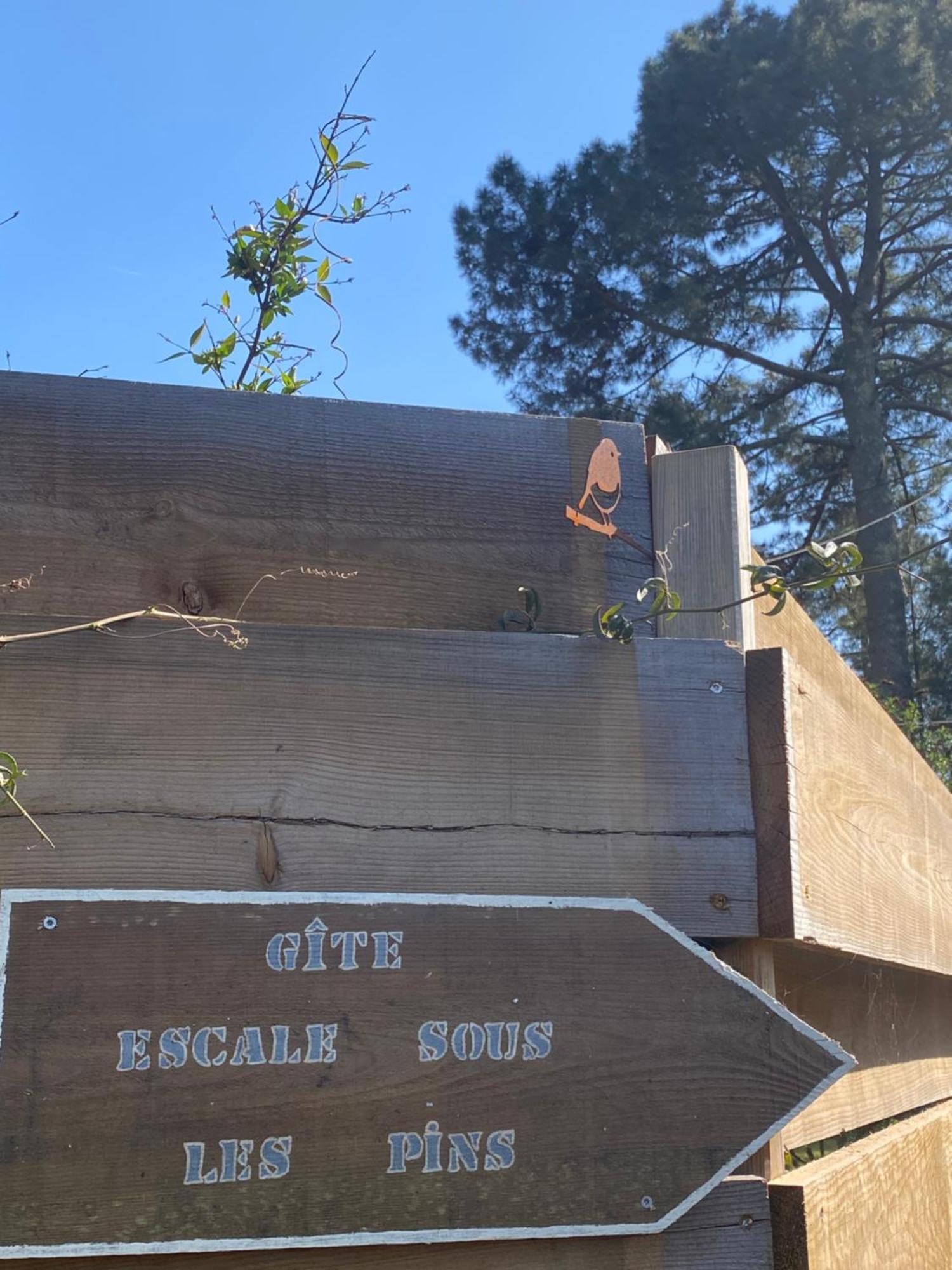 Escale Sous Les Pins Villa Salles  Exterior foto
